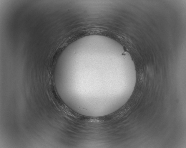 X0000076430759200610060959