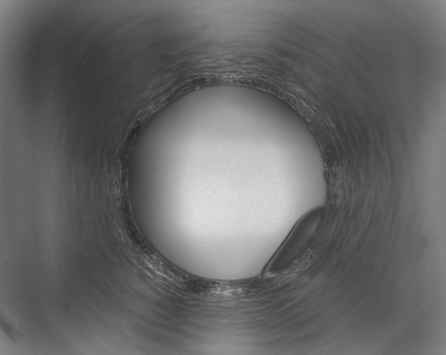 X0000076430760200610060959