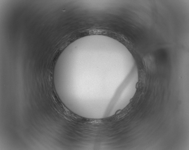 X0000076430761200610060959