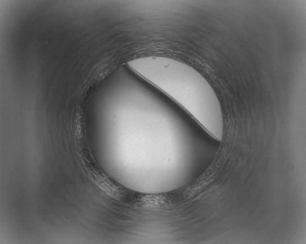 X0000076430762200610060959