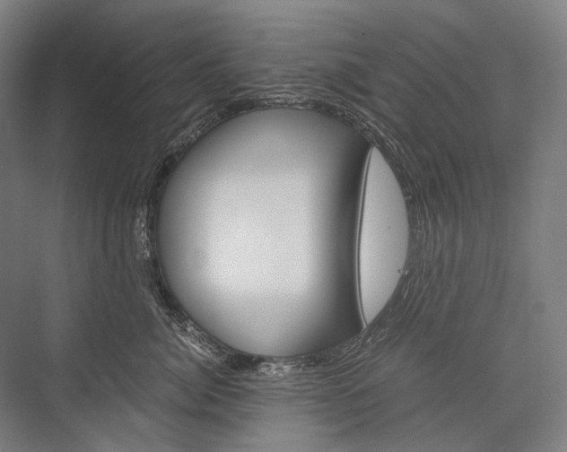 X0000076430764200610060959