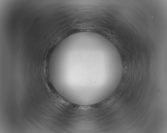 X0000076430767200610060959