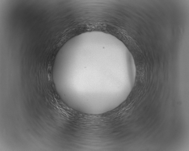 X0000076430770200610060958