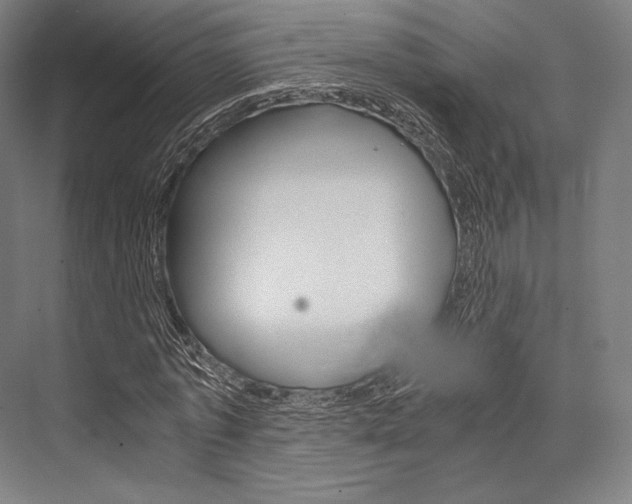 X0000076430773200610060958