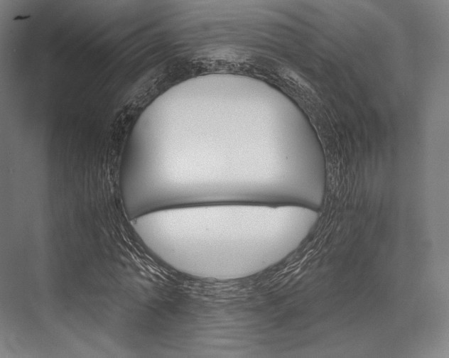 X0000076430774200610060958
