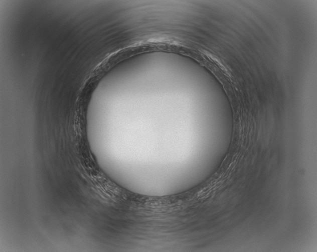 X0000076430776200610060958