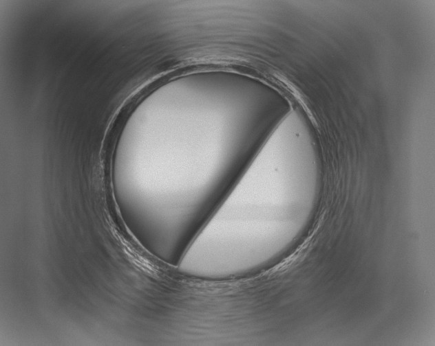 X0000076430779200610060958