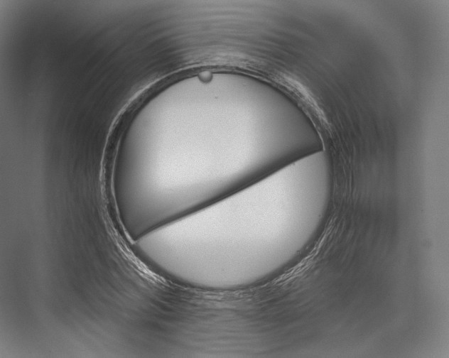 X0000076430780200610060958