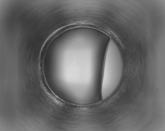 X0000076430784200610060958