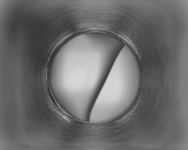 X0000076430790200610060958