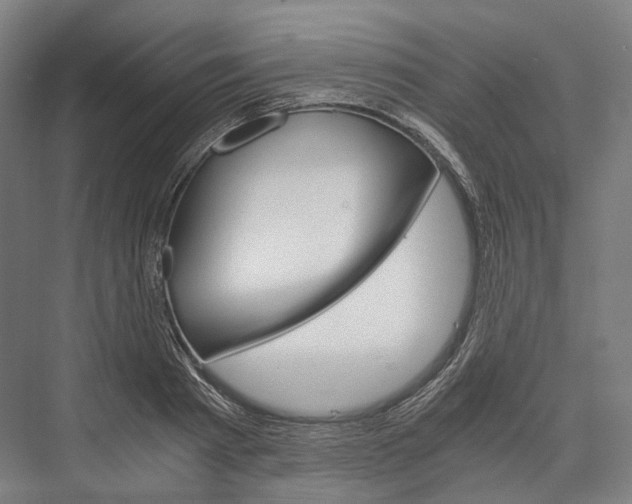 X0000076430793200610060958