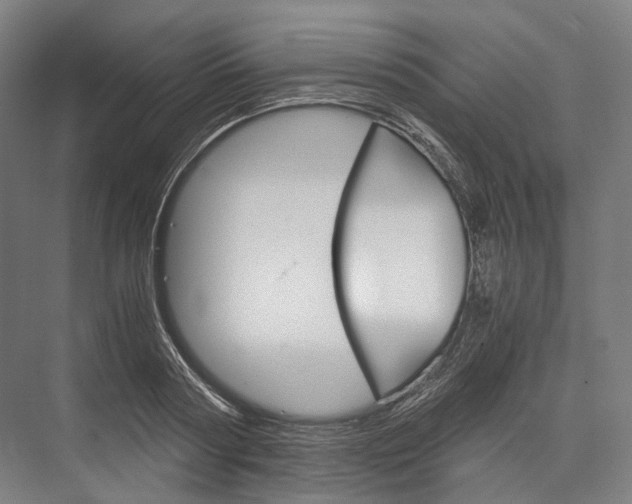 X0000076430794200610060958