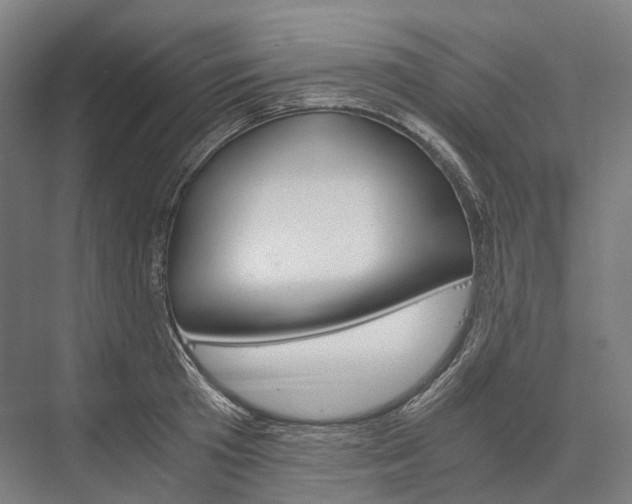 X0000076430801200610060958