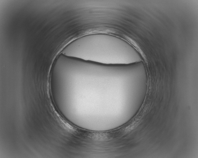 X0000076430802200610060958