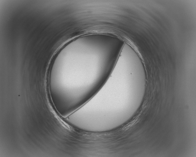 X0000076430803200610060958