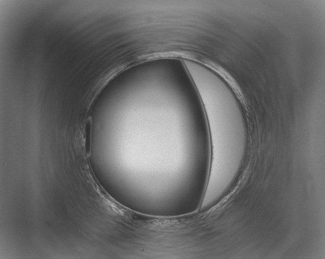 X0000076430809200610060958