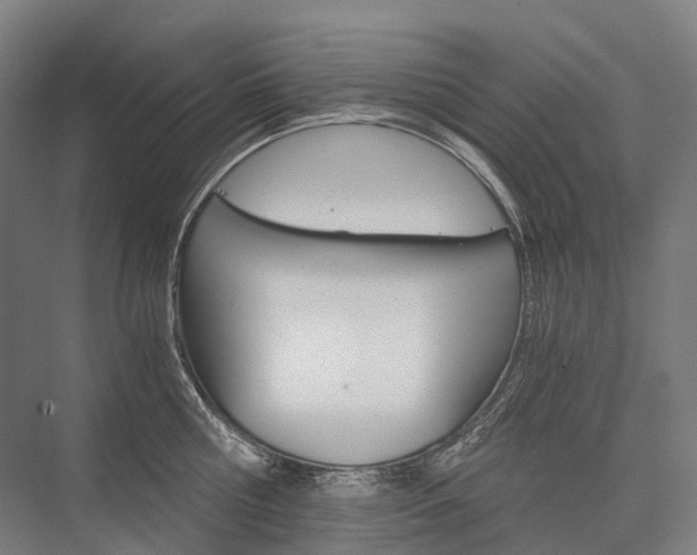 X0000076430810200610060958