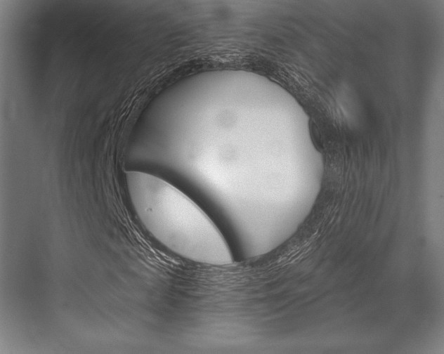 X0000076430817200610060957
