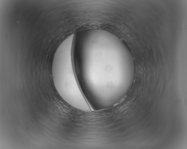X0000076430818200610060957