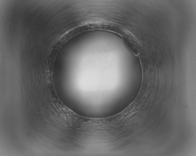 X0000076430822200610060957
