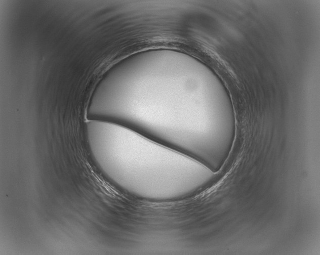 X0000076430825200610060957
