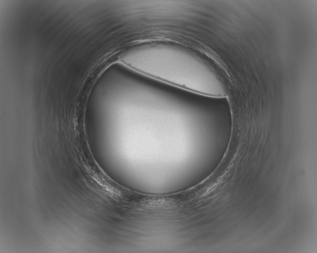 X0000076430826200610060957