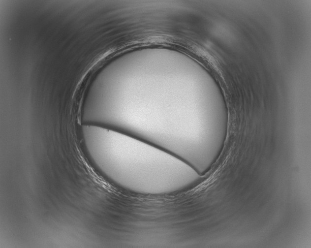 X0000076430827200610060957