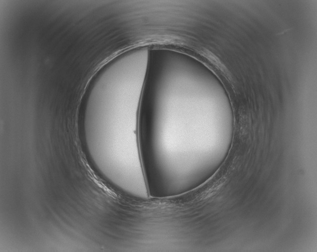 X0000076430834200610060957