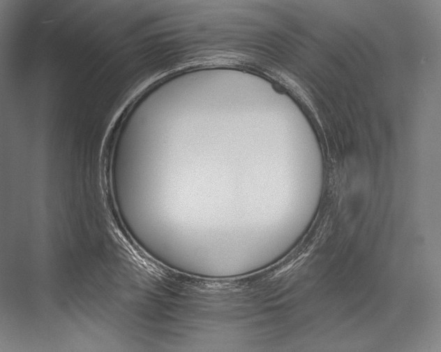 X0000076430835200610060957