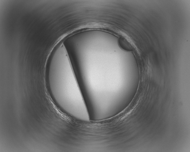 X0000076430837200610060957