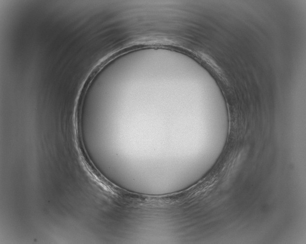 X0000076430840200610060957