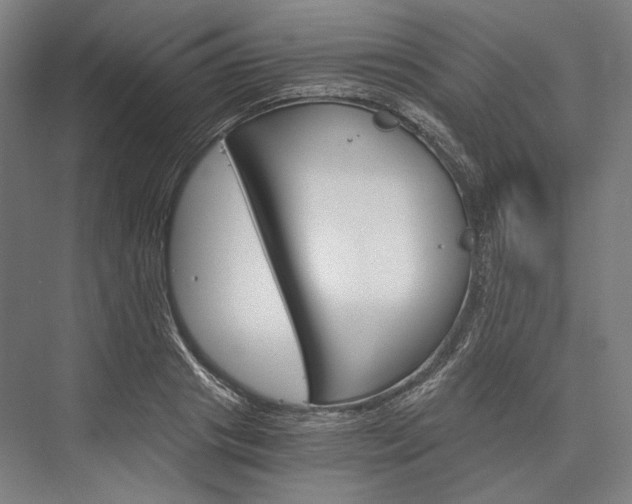 X0000076430841200610060957