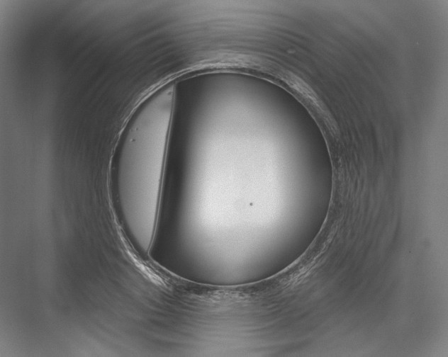 X0000076430842200610060957