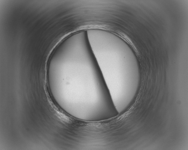 X0000076430844200610060957