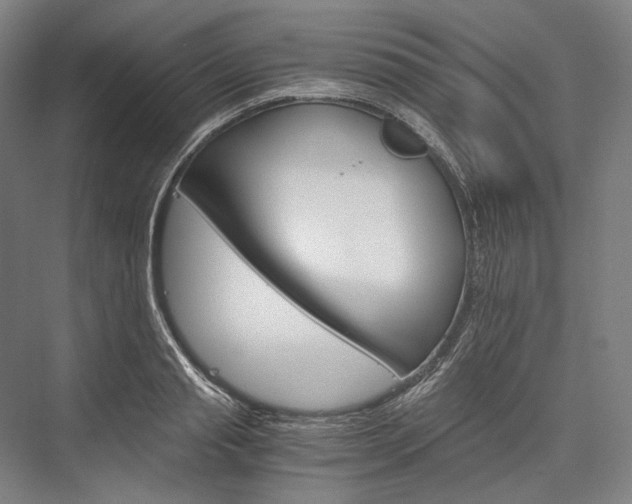 X0000076430845200610060957