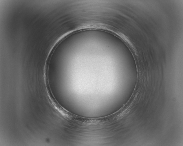 X0000076430846200610060957
