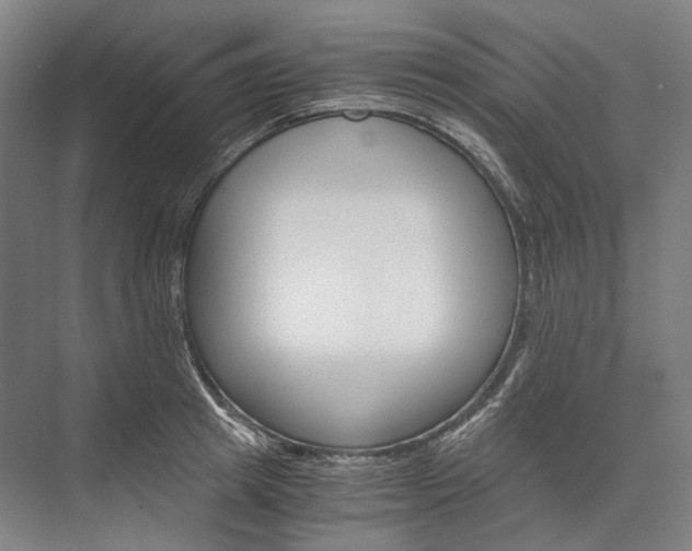 X0000076430849200610060957