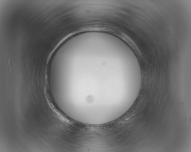 X0000076430852200610060957