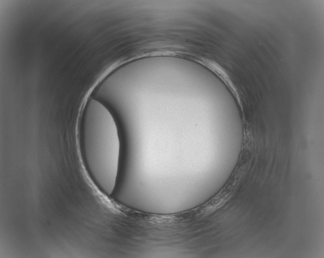 X0000076430859200610060957