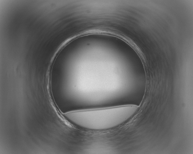 X0000076430862200610060957