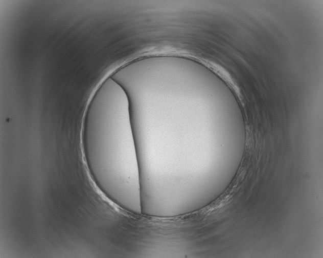 X0000076430863200610060957