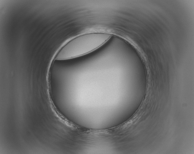 X0000076430864200610060957