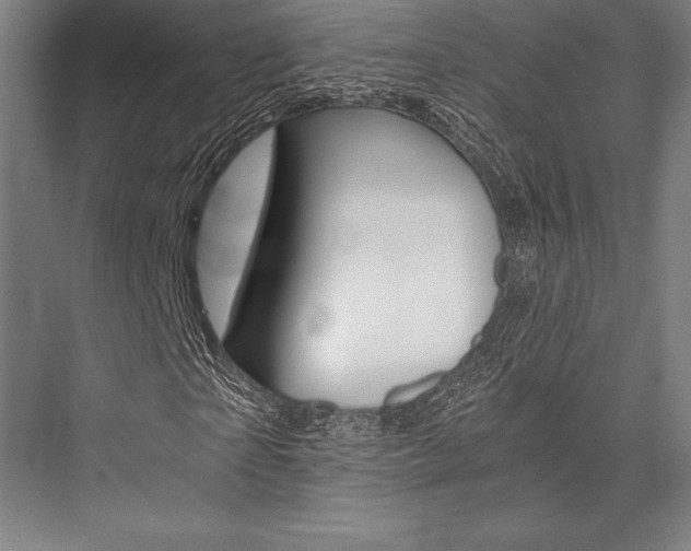 X0000076430865200610060957