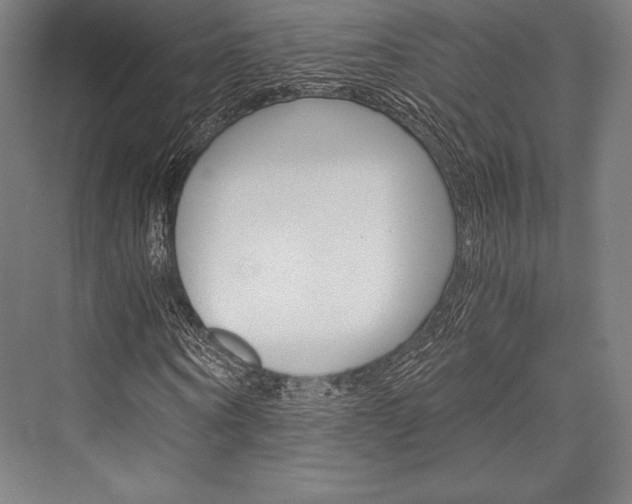 X0000076430866200610060957