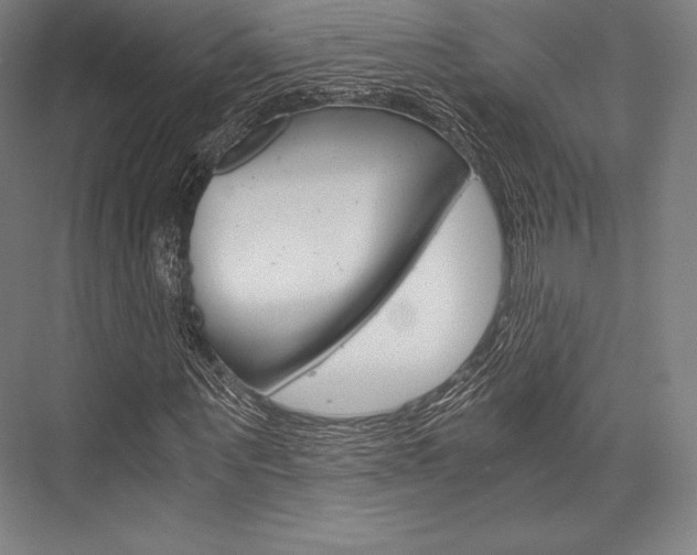 X0000076430867200610060957