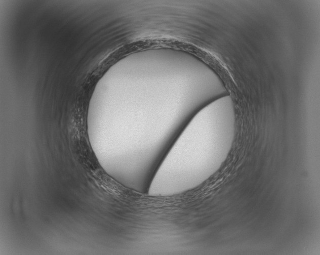 X0000076430871200610060957