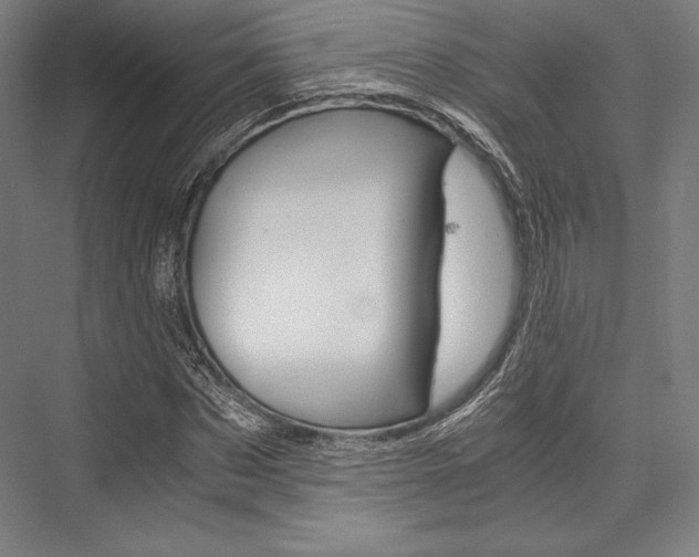 X0000076430873200610060957