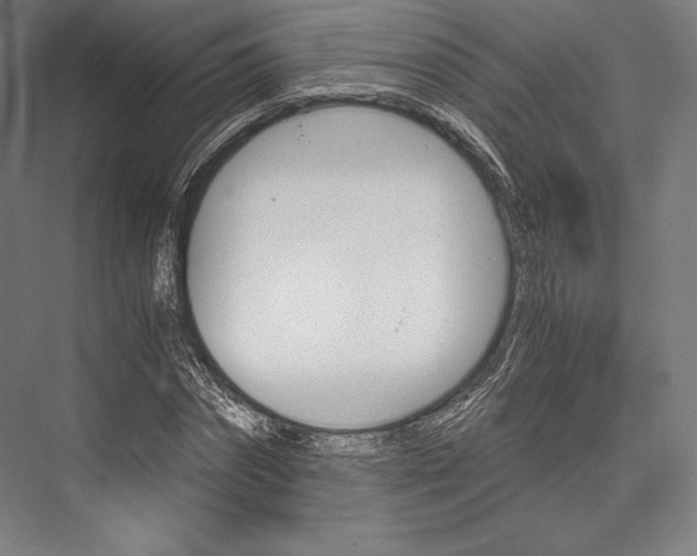 X0000076430874200610060957
