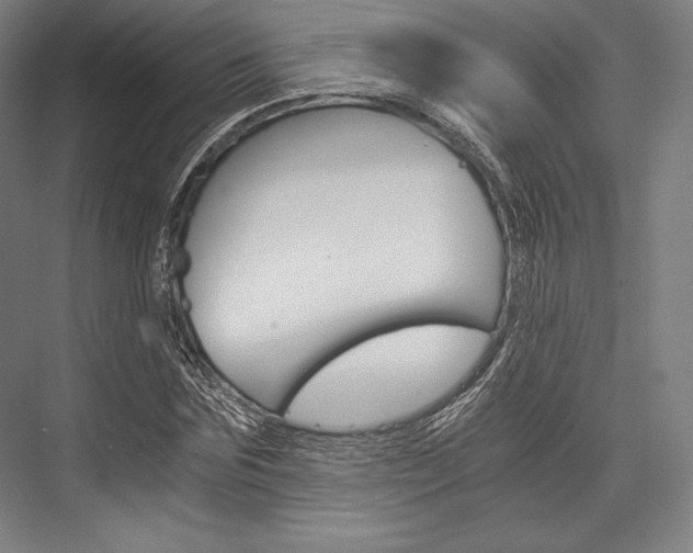 X0000076430875200610060956