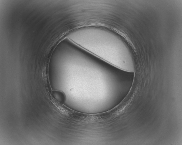 X0000076430881200610060956